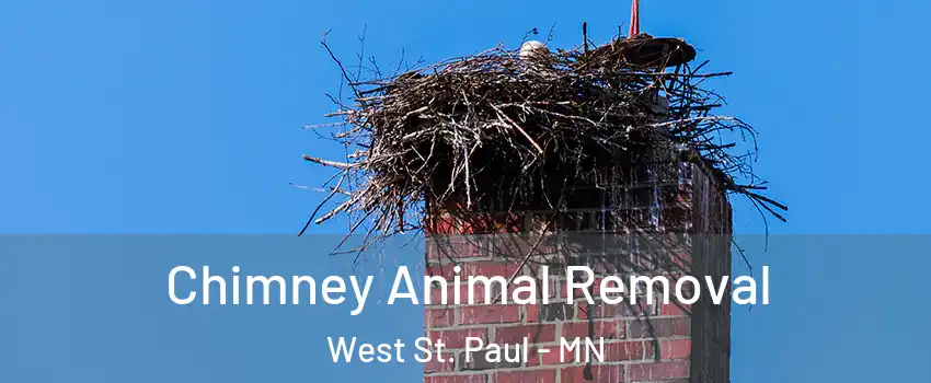  Chimney Animal Removal West St. Paul - MN