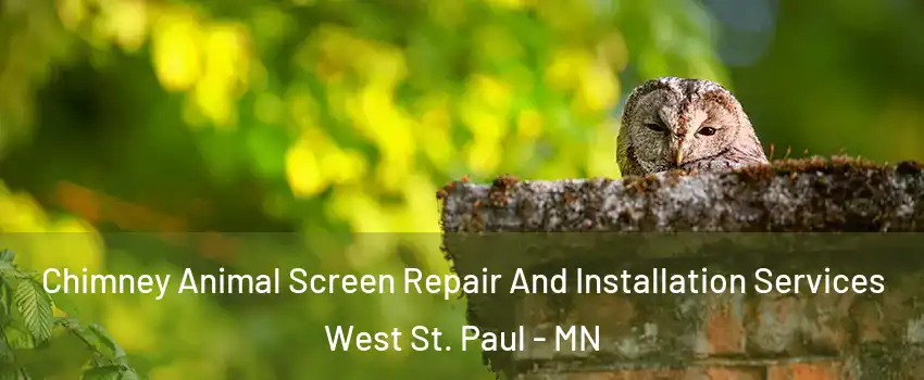  Chimney Animal Screen Repair And Installation Services West St. Paul - MN