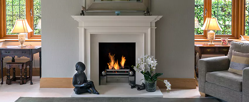 Astria Open-Hearth Wood Fireplaces Services in West St. Paul, MN