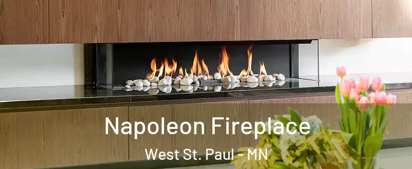  Napoleon Fireplace West St. Paul - MN